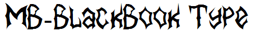 MB-BlackBook Type