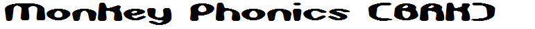 Monkey Phonics (BRK)