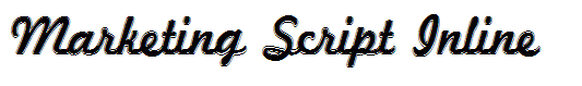 Marketing Script Inline