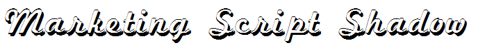 Marketing Script Shadow