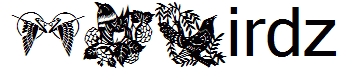 DLBirdz