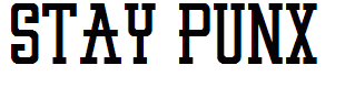 STAY PUNX