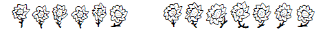 Maja's Flowers