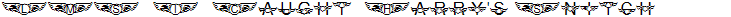 LMS I Caught Harry's Snitch