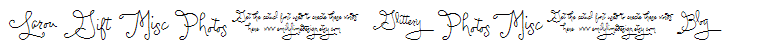 Larou Words