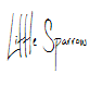 Little Sparrow