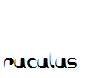 ruculus
