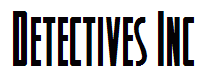 Detectives Inc