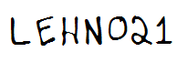 LEHN021