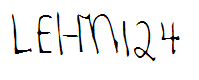 LEHN124